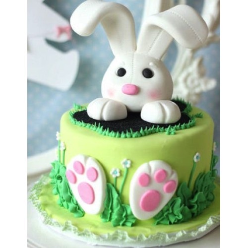 Cute Bunny Cake